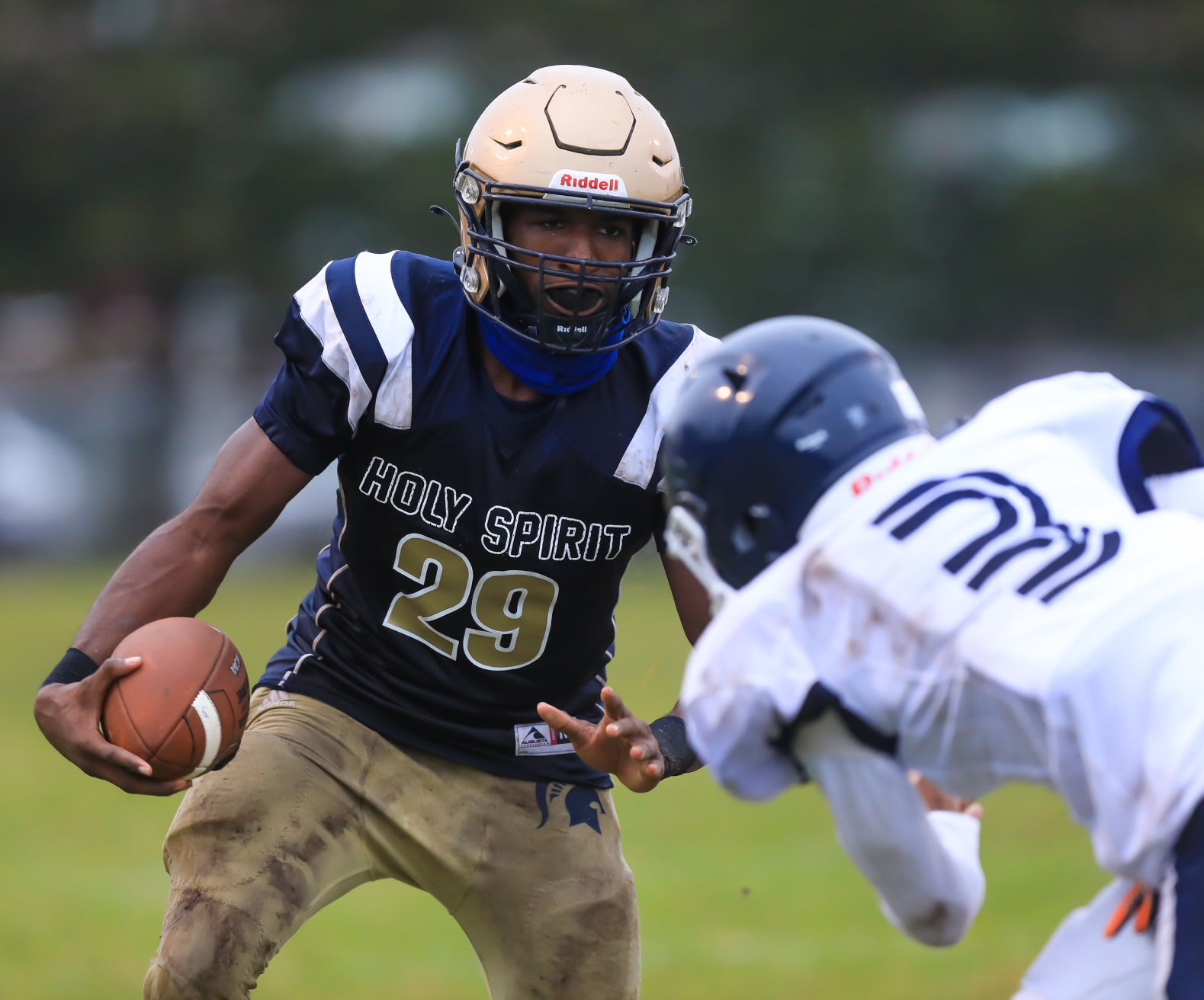 spt_HSFB